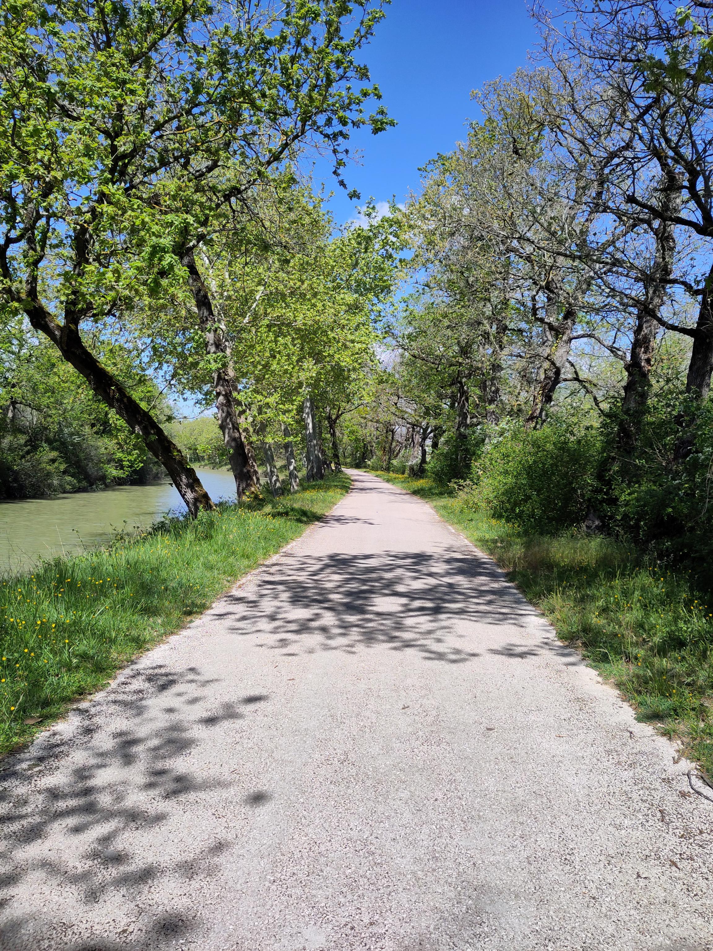 Canal du midi